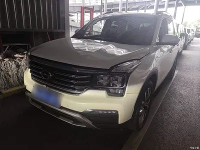 2017 GAC Trumpchi Trumpchi GS8 320T 2WD Luxury Smart Connect (7-seater), фото 1, лот 10423402
