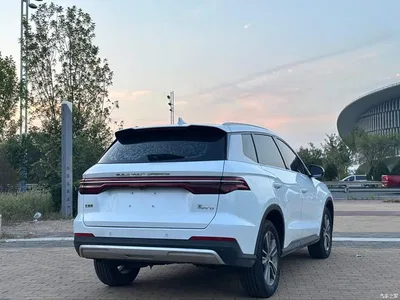 2019 BYD Song Pro 1.5T Automatic Luxury, фото 4, лот 10632901