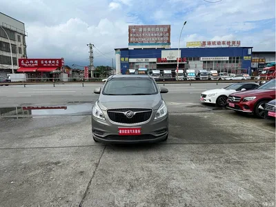 2017 Buick GL8 25S Premium Model China V, фото 1, лот 10696603