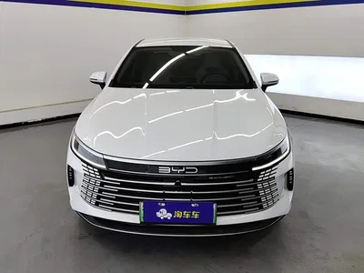 2024 BYD Destroyer 05 Glory Edition DM-i 55KM Luxury, фото 2, лот 10813029