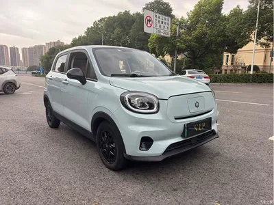 2023 Leapmotor T03 310 Sharing Edition, фото 3, лот 11007821