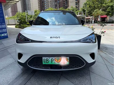2022 smart Elf #1 Pulse Heartbeat Edition, фото 1, лот 10323824