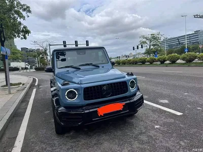 2010 Mercedes-Benz G-Class G 500, фото 2, лот 10295950