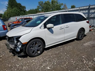 2025 HONDA ODYSSEY, фото 1, лот 10719531