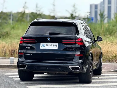 2025 BMW X5 Model xDrive 30Li Exclusive M Sport Blackout Package, фото 4, лот 10401281