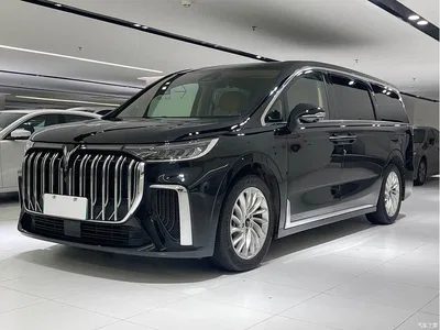 2022 Voyah Auto Voyah Dreamer Low Carbon Edition Home, фото 1, лот 10358605