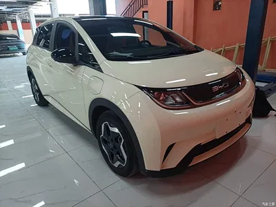 2021 BYD Dolphin Model 405km Fashion Edition, фото 4, лот 10264147