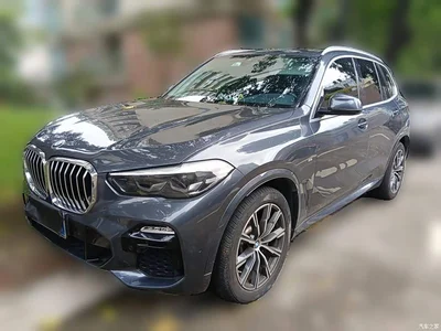 2020 BMW X5 (Import) xDrive30i M Sport Package, фото 1, лот 10388646