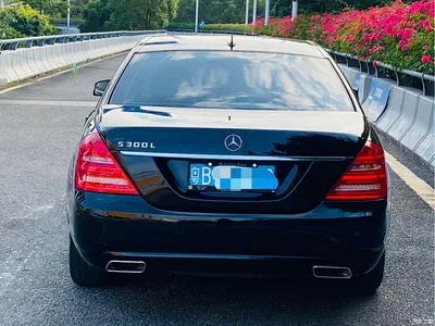 2012 Mercedes-Benz S-Class S 300 L Business Grand Edition, фото 4, лот 10269055