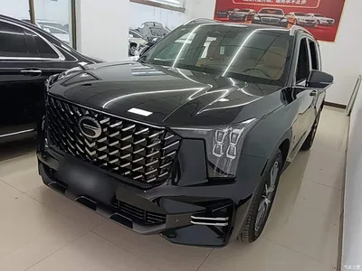2025 GAC Trumpchi Trumpchi GS8 Pilot Series 2.0TGDI 2WD Luxury Edition 5-seater, фото 1, лот 10422595