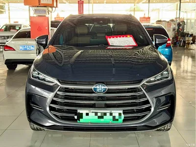 2021 BYD Tang New Energy DM 2.0T 4WD Performance Premium, фото 2, лот 10273332