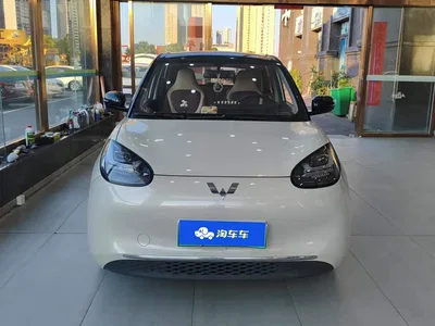 2024 Wuling Motors Wuling Bingo 333km Comfort Edition, фото 2, лот 10367279