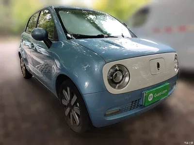 2021 Ora Black Cat 351km Standard Model, фото 3, лот 11190325