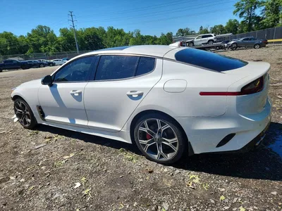 2019 KIA STINGER GT1, фото 2, лот 10568987