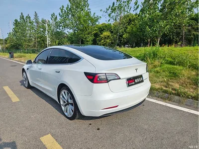 2020 Tesla Model 3 Standard Range Rear-Wheel Drive Upgrade, фото 4, лот 10674367