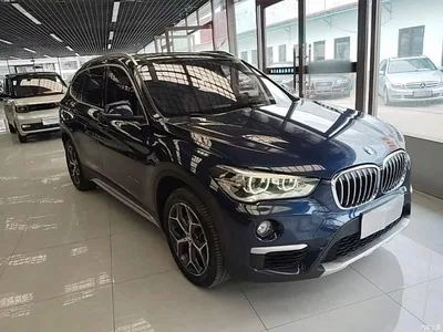 2018 BMW X1 xDrive20Li Premium Model, фото 4, лот 11461697