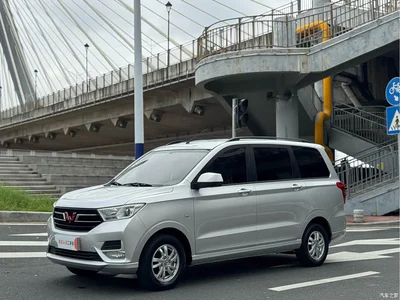 2019 Wuling Motors Wuling Hongguang 1.5L S Comfort China VI LAR, фото 1, лот 10360111
