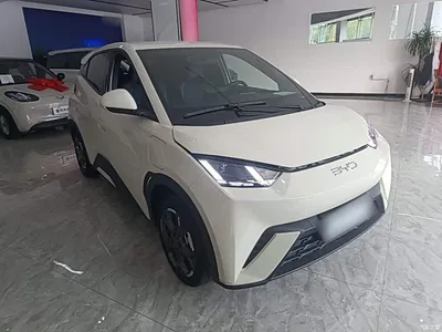 2024 BYD Seagull Glory Edition 305km Freedom Edition, фото 4, лот 11181049