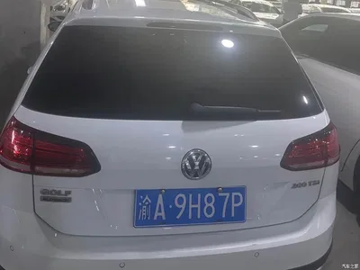 2019 Volkswagen Golf (Import) 1.8TSI Wagon, фото 3, лот 10803734