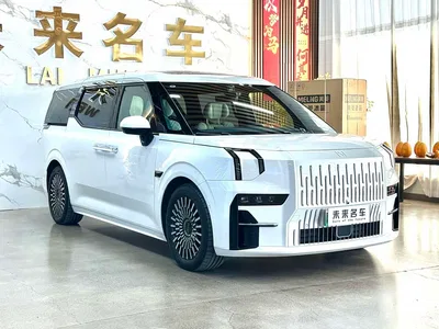 2022 ZEEKR 009 WE Edition, фото 3, лот 11534945