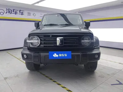 2021 Tank 300 Off-road Version 2.0T Conqueror, фото 2, лот 10344258