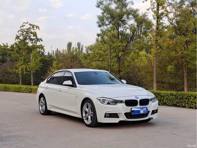 2019 BMW 3 Series 320Li M Luxury Package, фото 3, лот 11217417