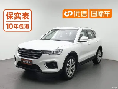 2019 Haval H7 2.0T Premium (China VI), фото 1, лот 11095554