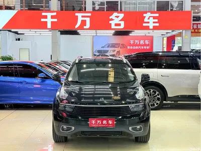 2017 Lynk & Co 01 2.0T 2WD Pro Version, фото 2, лот 10313375