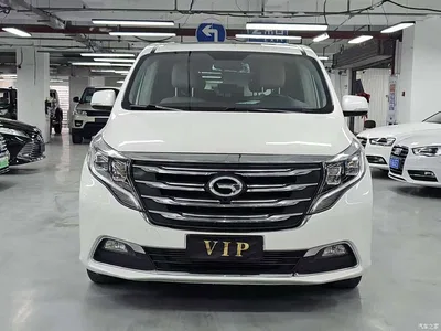 2018 GAC Trumpchi Trumpchi M8 320T Exclusive Edition, фото 2, лот 11582743