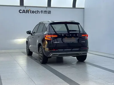 2022 Škoda Karoq TSI280 Premium Edition, фото 2, лот 10349501
