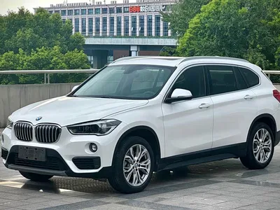 2018 BMW X1 sDrive20Li Leading Model, фото 1, лот 10464842