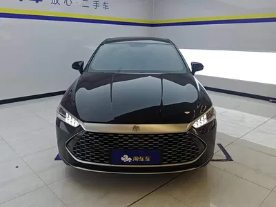 2024 BYD Qin PLUS Glory Edition DM-i 55KM Leading, фото 2, лот 10363700