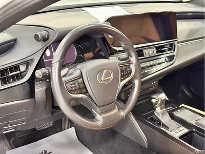 2022 Lexus ES 200 Excellence Edition, фото 4, лот 10316408