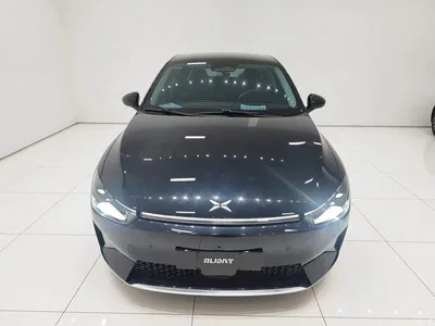2021 XPeng P5 550E, фото 3, лот 10396885