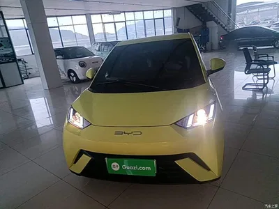 2024 BYD Seagull Glory Edition 305km Vitality Edition, фото 3, лот 11468520