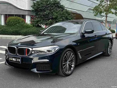 2020 BMW 5 Series 530Li Leading M Sport Package, фото 1, лот 10684389