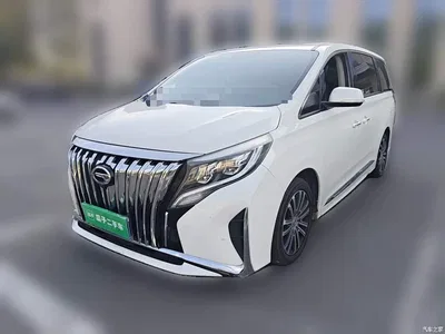 2021 GAC Trumpchi Trumpchi M8 Leading Show Series 390T Premium Edition, фото 2, лот 10417201