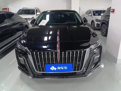 2025 Hongqi H5 1.5T DCT Flag Rhythm 500,000 Units Memorial Edition, фото 2, лот 10288114