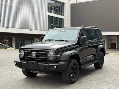 2021 Tank 300 Off-road Version 2.0T Conqueror, фото 1, лот 10450350