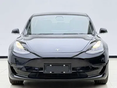 2020 Tesla Model 3 Long Range Rear-Wheel Drive, фото 2, лот 10355458