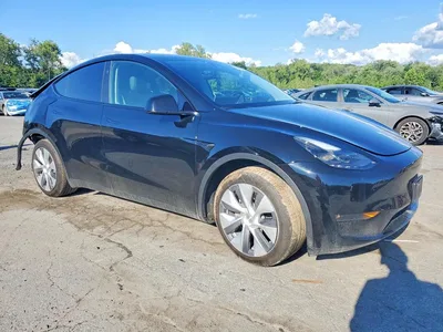 2023 TESLA MODEL Y, фото 4, лот 10854127