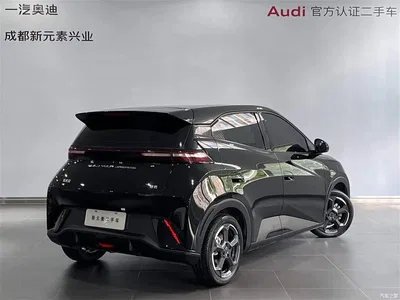 2023 Byd Seagull, фото 4, лот 10245365