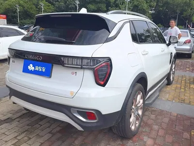 2017 Lynk & Co 01 2.0T 2WD Pro Version, фото 3, лот 10314446