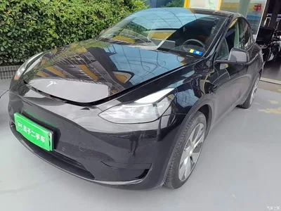 2022 Tesla Model Y Rear-Wheel Drive Version, фото 2, лот 10370265