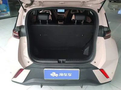 2024 BYD Seagull Glory Edition 305km Vitality Edition, фото 4, лот 10250367