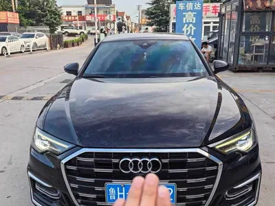 2019 Audi A6L 40 TFSI Luxury Dynamic, фото 1, лот 10666571