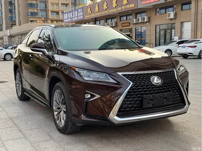2016 Lexus RX 300 4WD Elegance Edition (China V), фото 3, лот 10318811