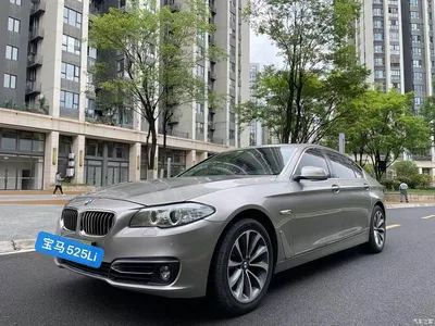 2013 BMW 5 Series 525Li Leadership, фото 1, лот 10445385