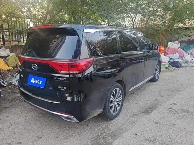2018 GAC Trumpchi Trumpchi M8 320T Premium Edition, фото 3, лот 11249111