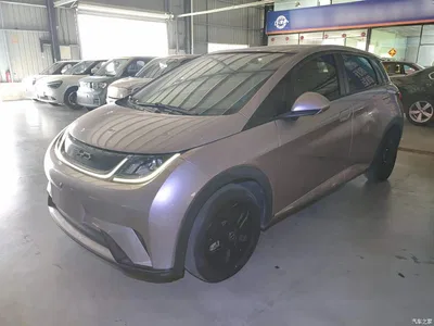 2021 BYD Dolphin Model 405km Fashion Edition, фото 2, лот 11189001